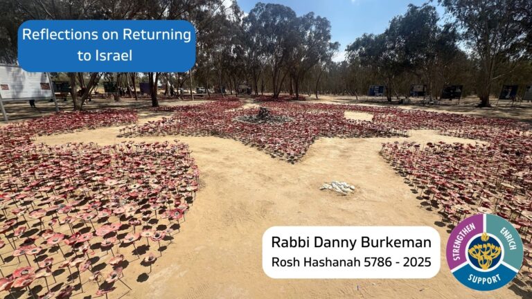 Reflections on returning to Israel
