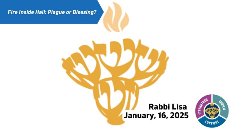 DEFAULT NO IMAGE (1)