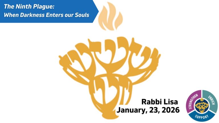 DEFAULT NO IMAGE (2)