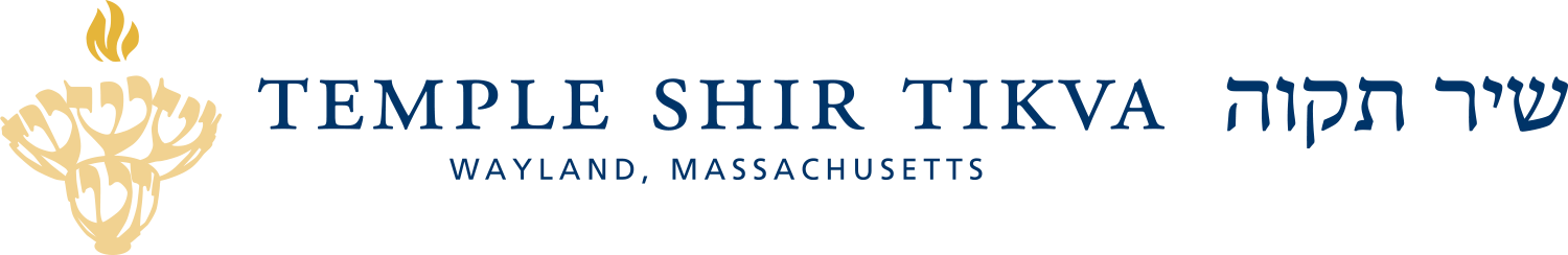 TST logo